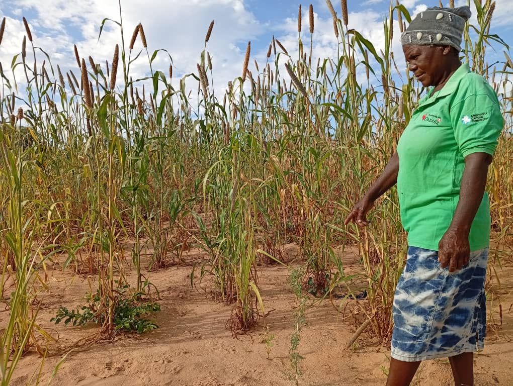 Fodder Production Project