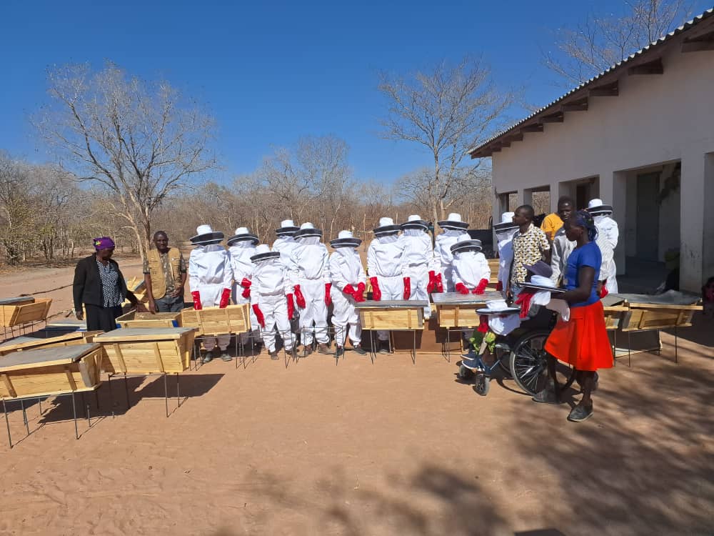 Bee Keeping Initiative